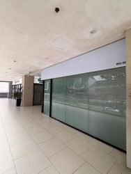 Lucky Plaza (D9), Shop House #630090301